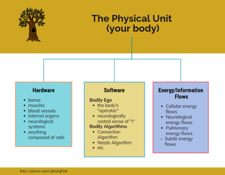 The Physical Unit