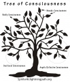 Tree of consciousness.jpg