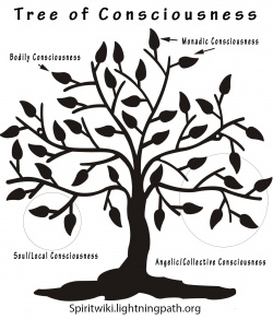 Tree of Consciousness